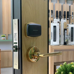 Khóa thẻ từ khách sạn Dillock DLZ.2.7003