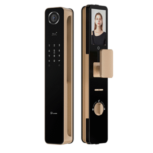 Khóa Cửa Vân Tay Dillock DL R1 Pro